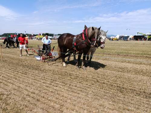 IMG_20260609_105305